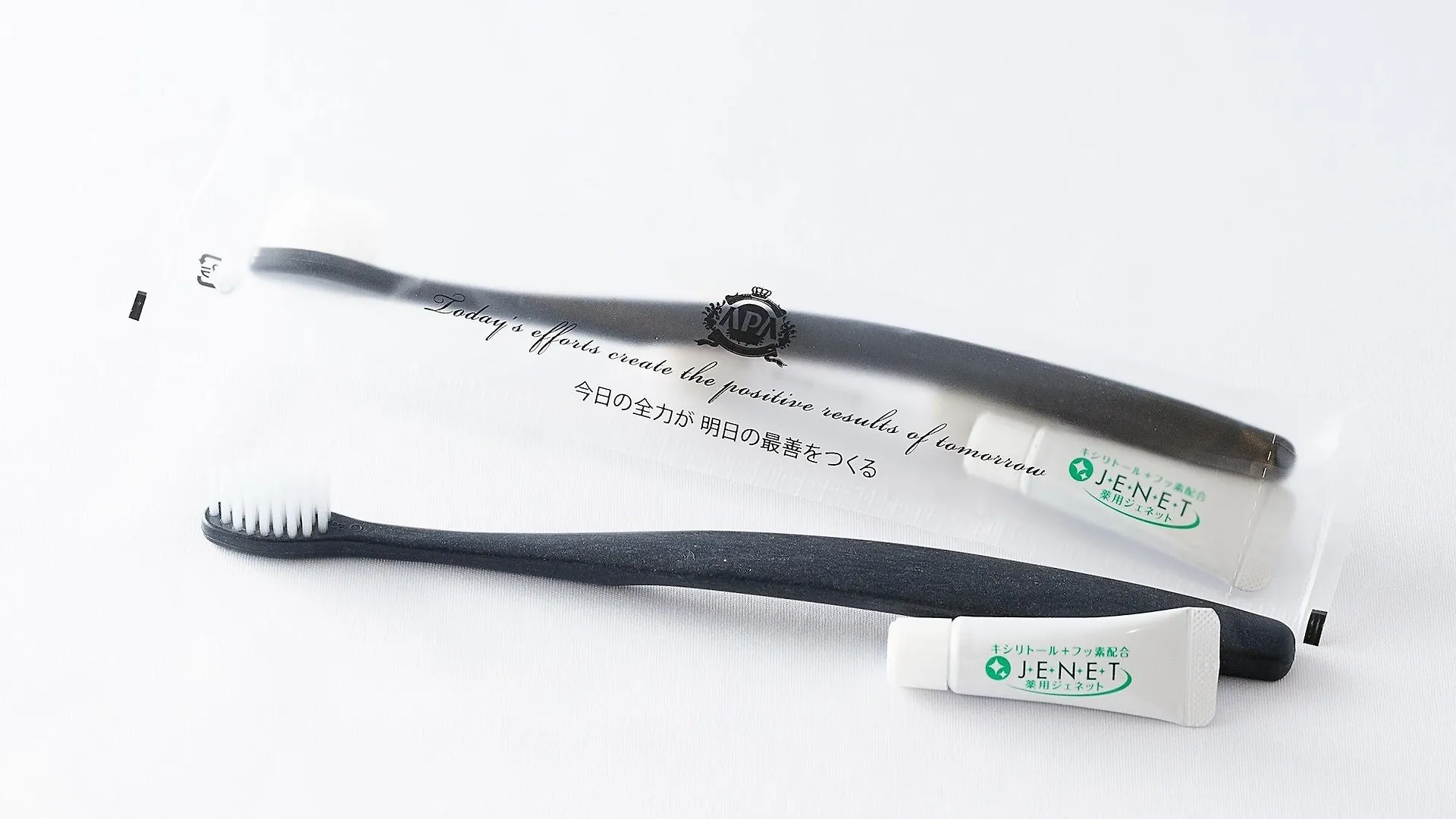 아파 호텔 케이세이 나리타 에키마에 치바